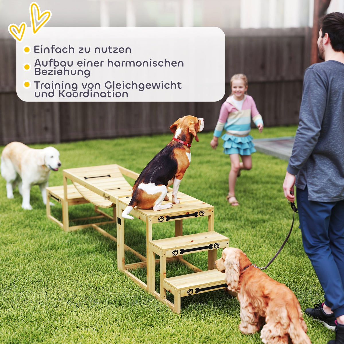 Dog Agility Set, 4-piece training, Fir Wood
