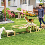 Dog Agility Set, 4-piece training, Fir Wood