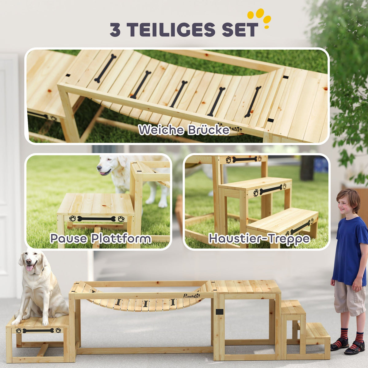 Dog Agility Set, 4-piece training, Fir Wood
