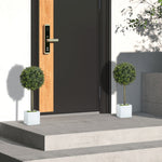 Artificial Boxwood Topiary Balls, Set of 2, 45cm, Plastic