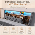 Upholstered Bed 140x200cm with Storage & LED, Velvet Dark Gray