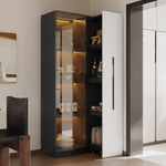 Multifunctional Cabinet with Glass Door, LED Lighting and Side Drawer, Black MDF
