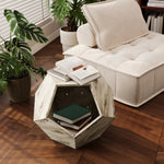 Cat Carrier Sofa Side Table Planter, Modern Multifunctional Furniture, Colored Flower Oak