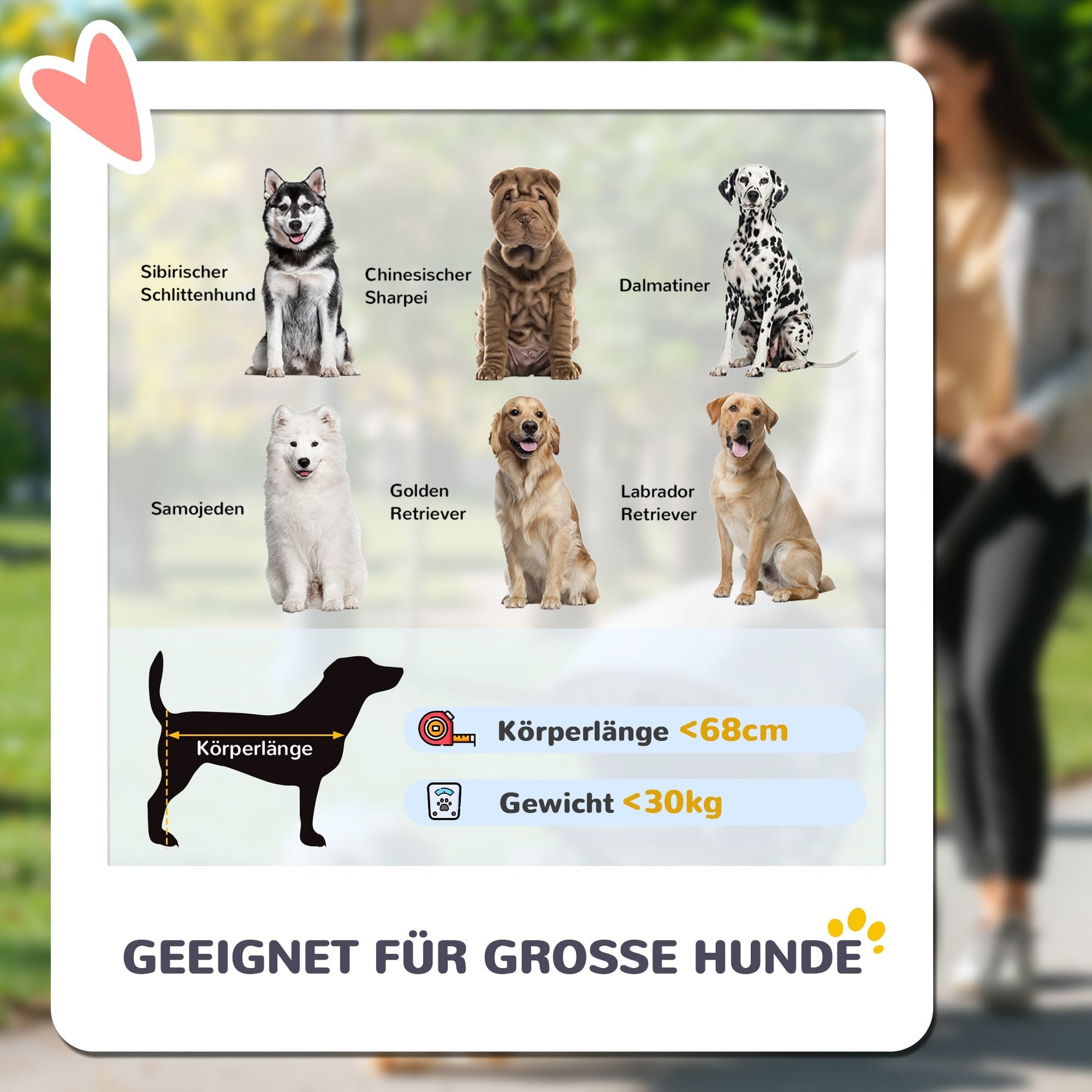 Dog Stroller, Foldable for Large Dogs & Cats, 30 kg, Grey