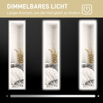 Full-Length Mirror, LED Light, 3 Light Colors, Gray