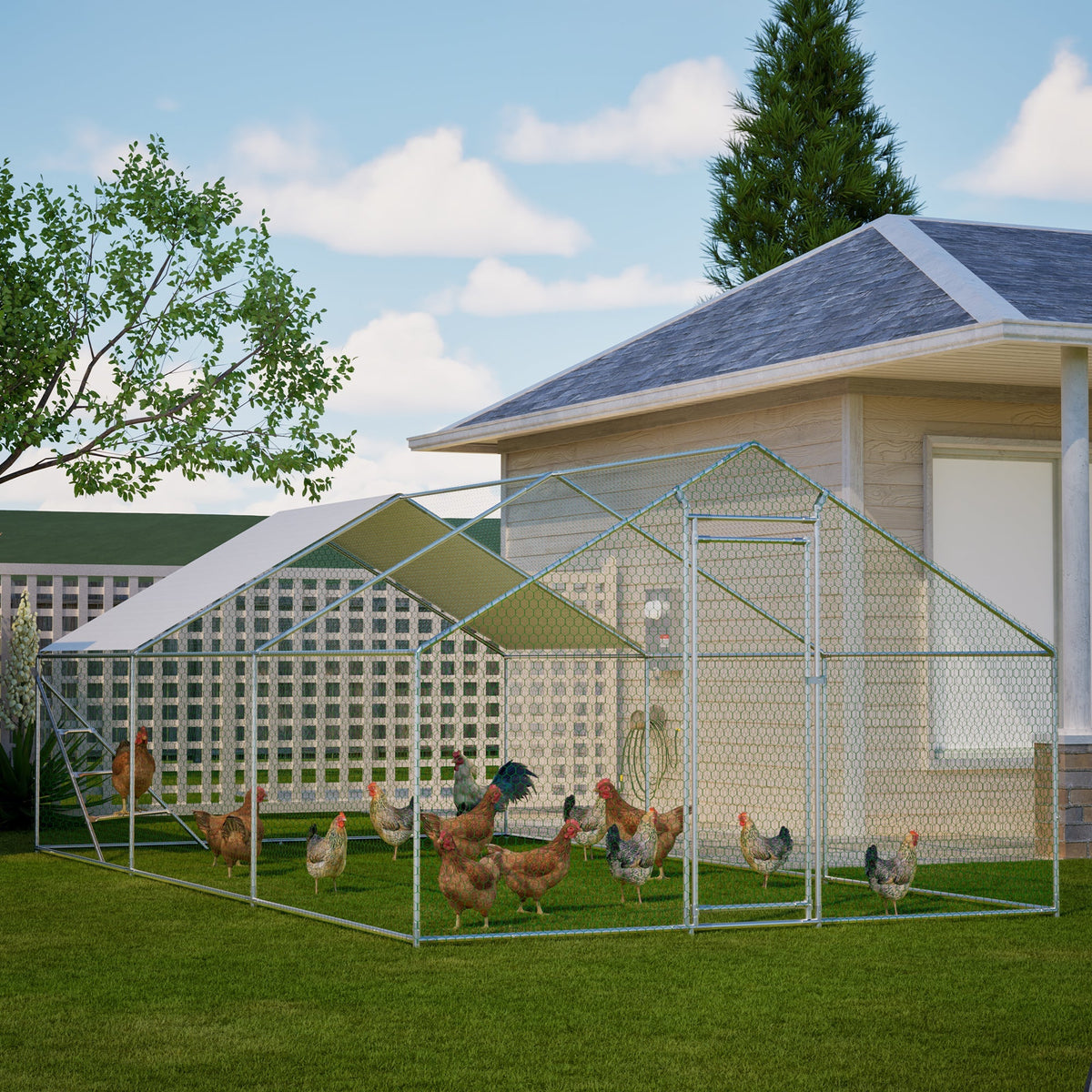 Giant Professional Chicken Coop Aviary 3x6m with Climbing Frame Metal