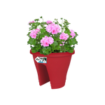 Corsica Flower Bridge 30Cm (Red)
