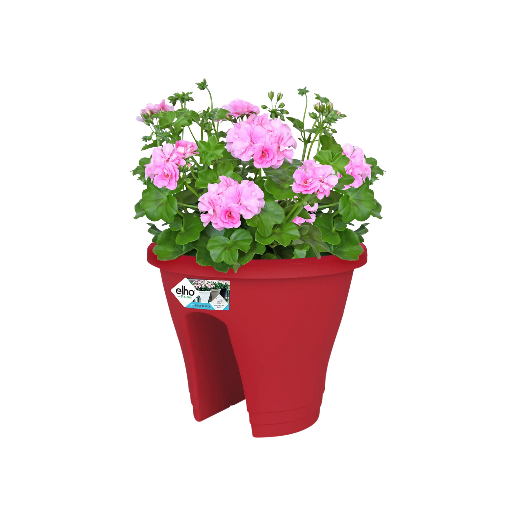 Corsica Flower Bridge 30Cm (Red)