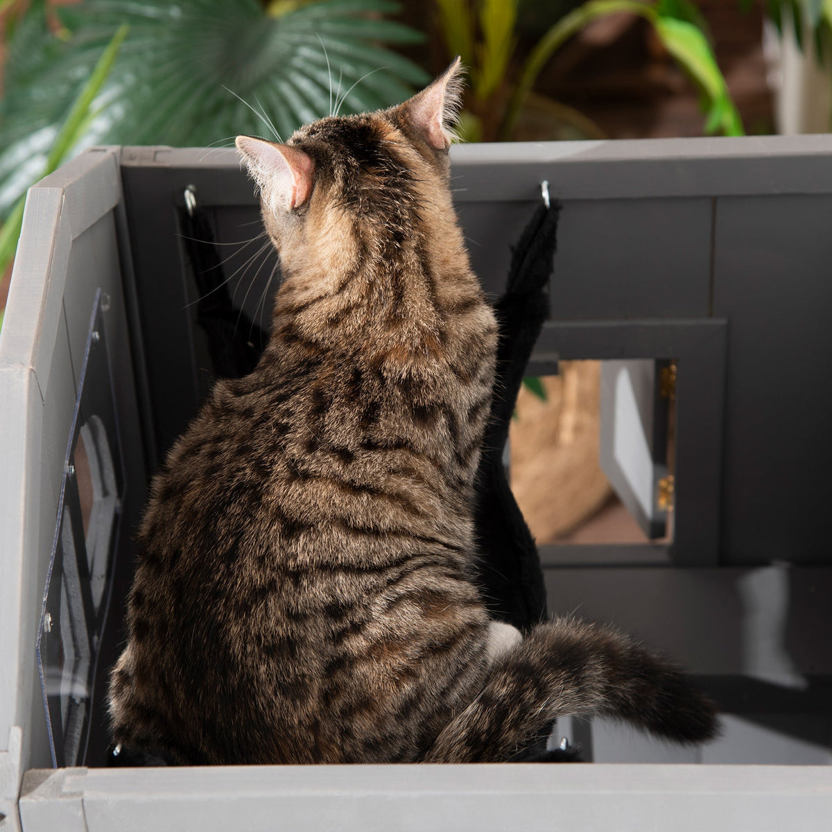 Cat House for Cat Bed or Litter Box, Fir Wood, Grey