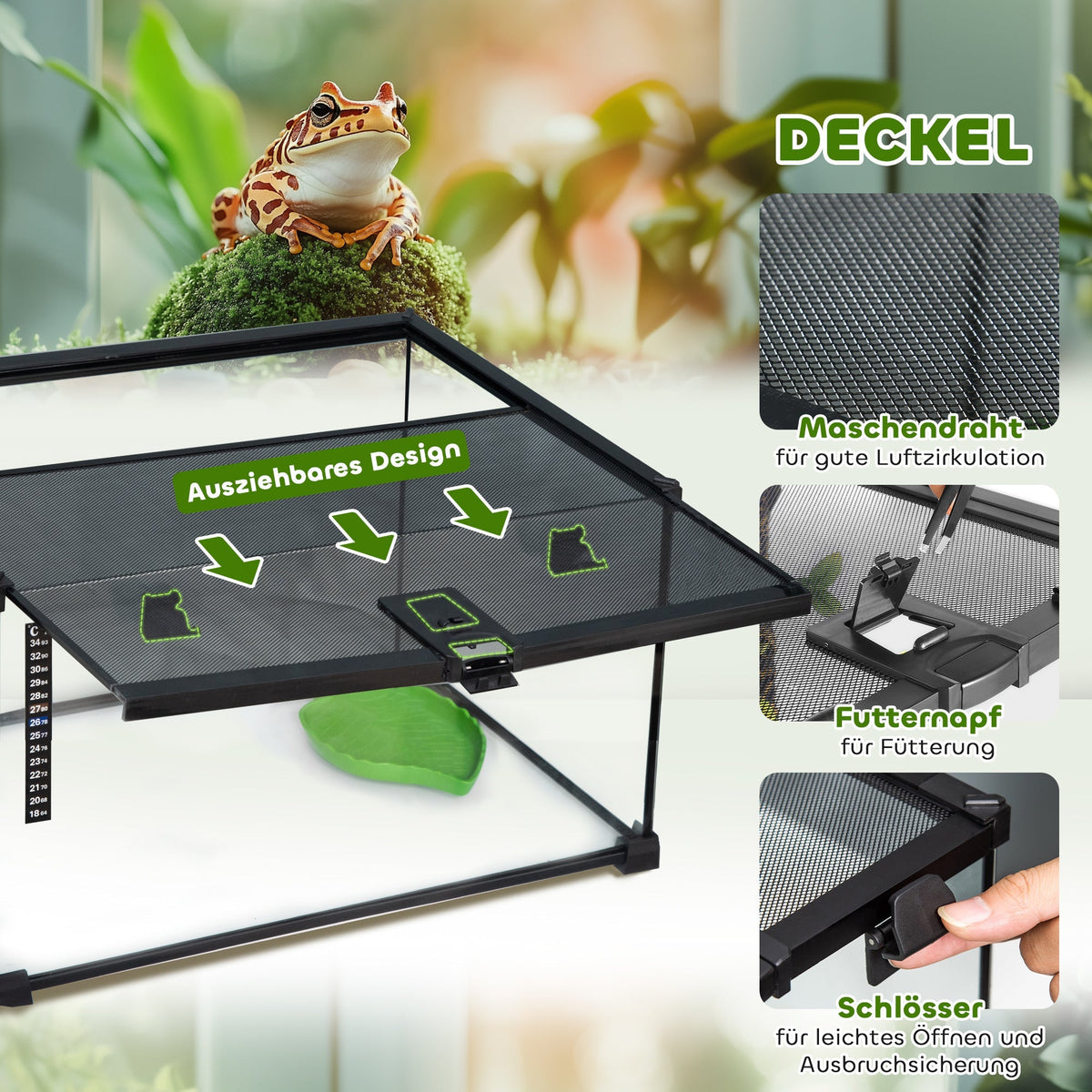 Terrarium, Reptile Feeding Box, Glass