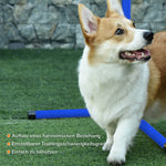 Agility Set for Dogs, 4-Piece, Height-Adjustable Plastic, Blue