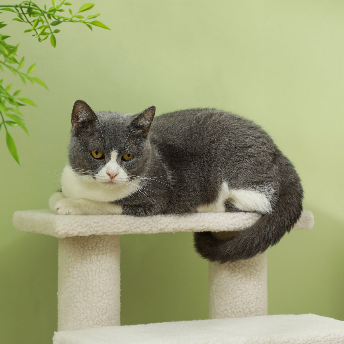 Pet Stairs, 4-Steps, Ideal for Older Animals, Plush Beige