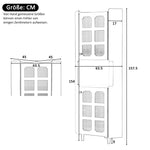 Corner Cabinet Multifunctional LED Storage - Black Lacquer Finish