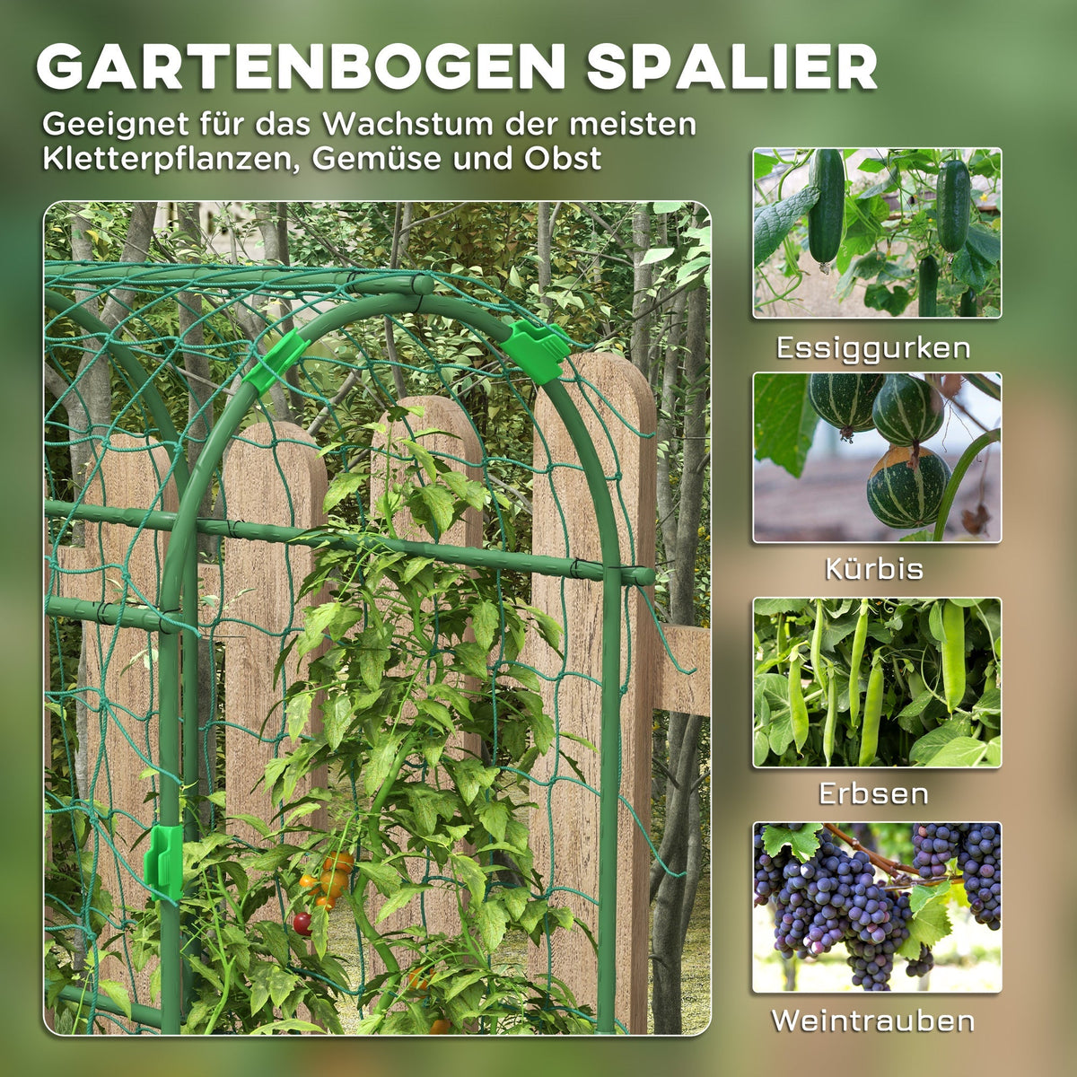 Trellis Adjustable Climbing Aid, Steel Plant Frame with Net, Green