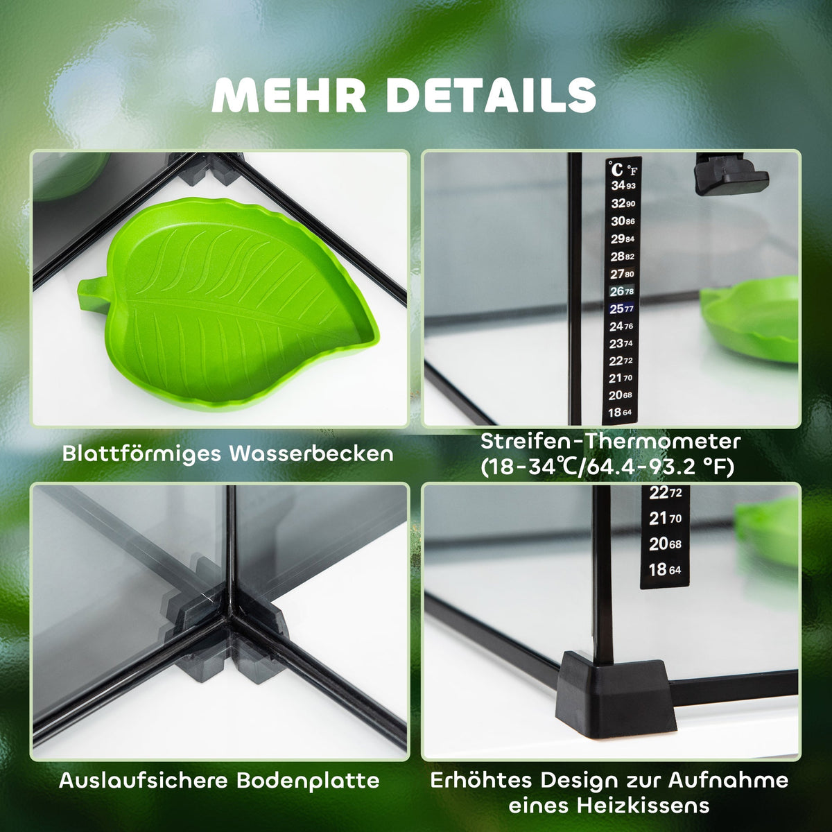 Terrarium, Reptile Feeding Box, Glass