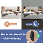 Double Wooden Bed, 160x200cm with 2 Drawers, Reading Light & USB, Oak/White
