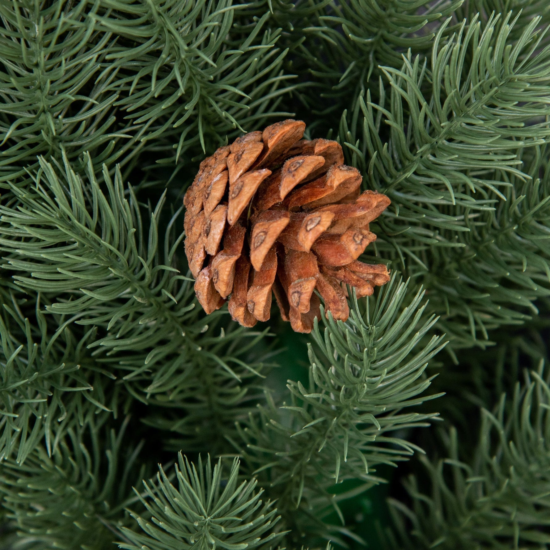 Fir Wreath, Christmas Door Wreath with Eyelet, Green PE