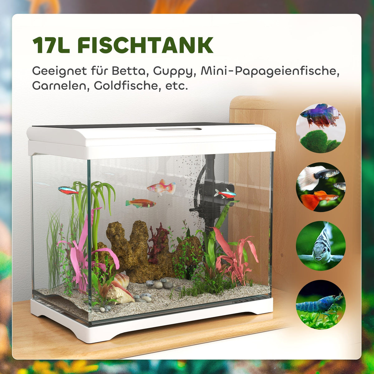 Aquarium, 17L Fish Tank with LED Lighting & Filter System, White