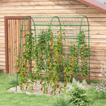 Trellis Adjustable Espalier Plant Frame Net Steel, Green