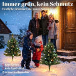 Illuminated Christmas Tree Set of 2, 60cm 60 LED Lights, Green