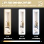 Full-Length Mirror, LED Light, 3 Light Colors, Gray