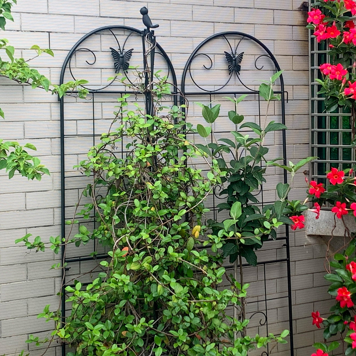 Metal Garden Trellis, 2 Pack for Climbing Plants, Metal