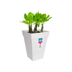 Loft Urban Square High 37 (White)