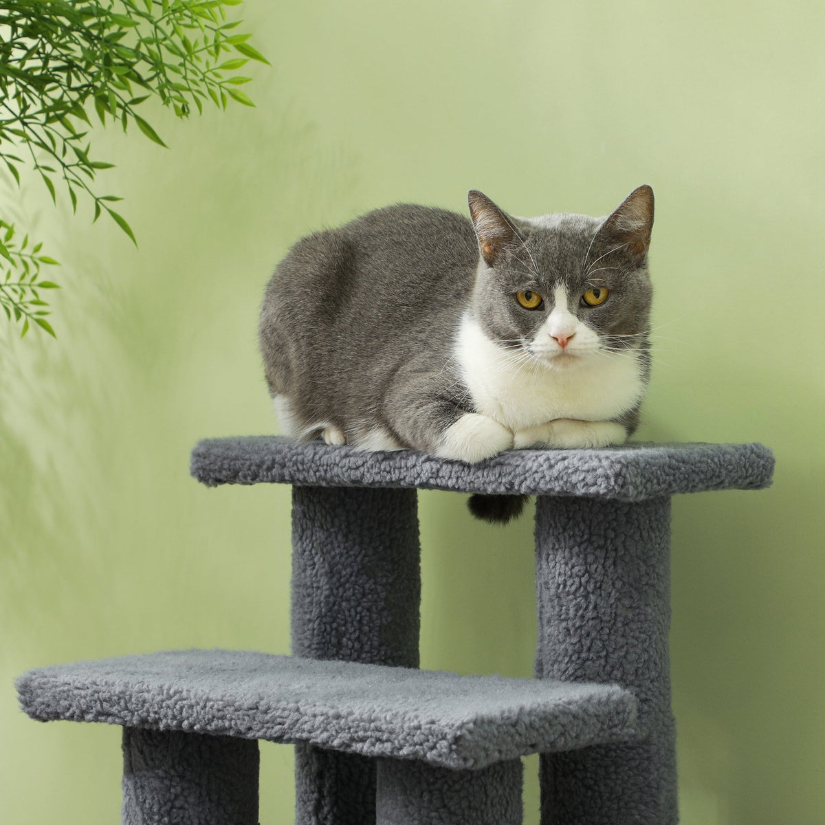 PawHut Pet Stairs 4 Steps for Cats and Dogs, Grey