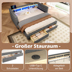 Multifunctional Daybed 90x190cm with Drawers, Grey Velvet