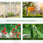 Greenhouse Cold Frame, Roll-Up Door, Steel Plastic, Transparent