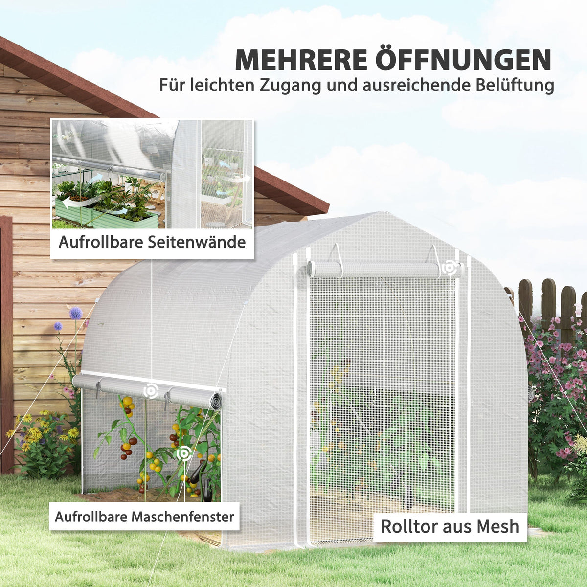 Greenhouse Polytunnel, 3x2x2m, 4 Windows & Door, White