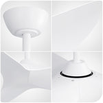 Ceiling Fan 38-inch DC Motor Remote Control Indoor/Outdoor ABS