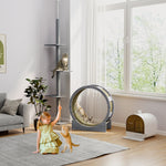Cat Exercise Wheel, 91 cm, Brake & Scratching Board, Grey