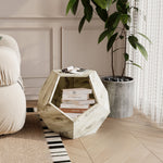 Cat Carrier Sofa Side Table Planter, Modern Multifunctional Furniture, Colored Flower Oak