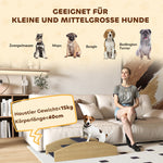 2-in-1 Dog Seesaw, Agility Ramp for Small & Medium Dogs, Natural Wood
