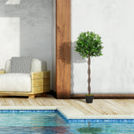 Artificial Bay Trees, 120 cm, Cement Pot, Green