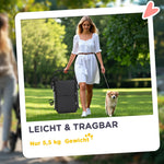 Dog Stroller, Lightweight Foldable with Cushion & Mesh, Aluminum Gray