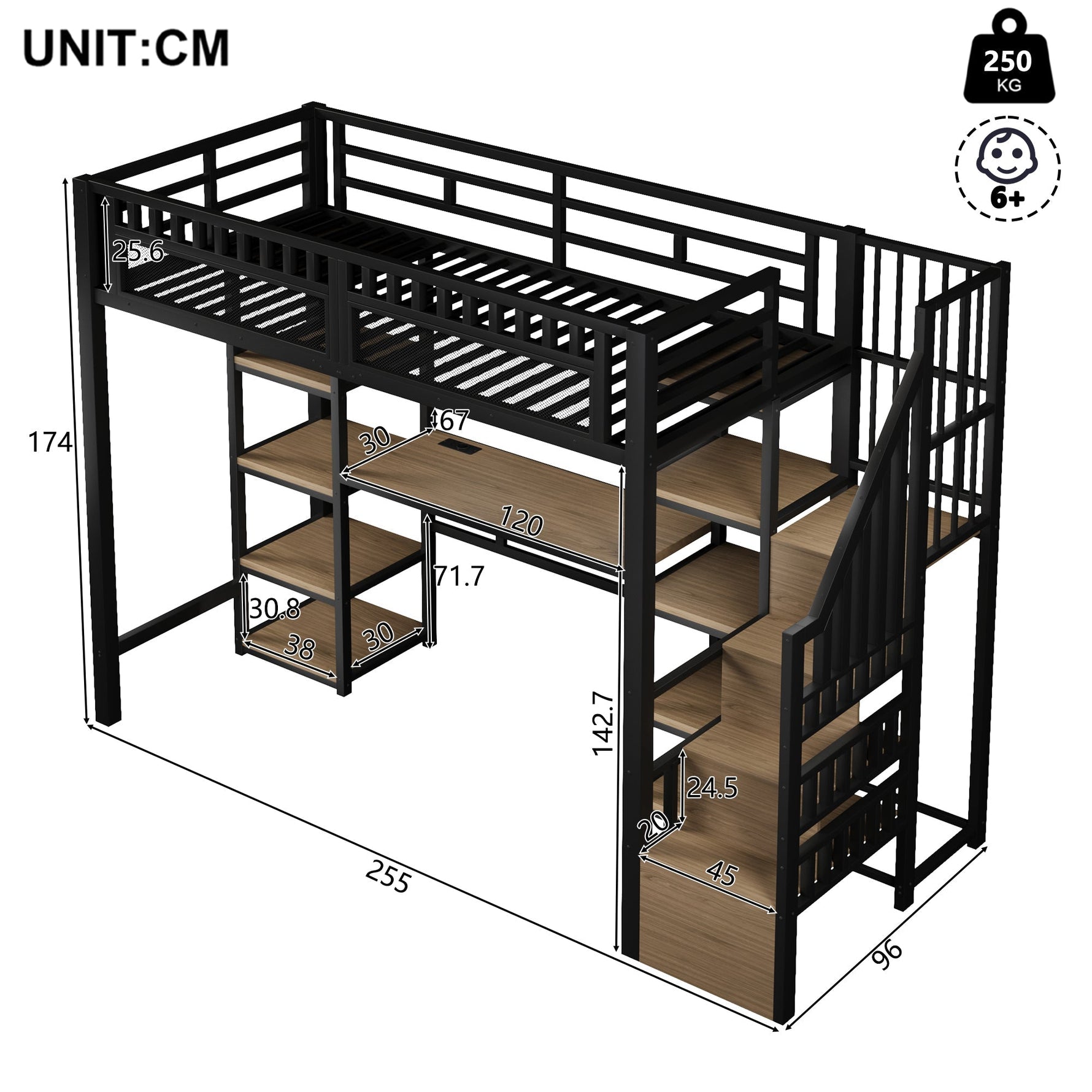 Loft Bed with Desk, LED Lights, USB Port and Storage Ladder, Black Iron Frame