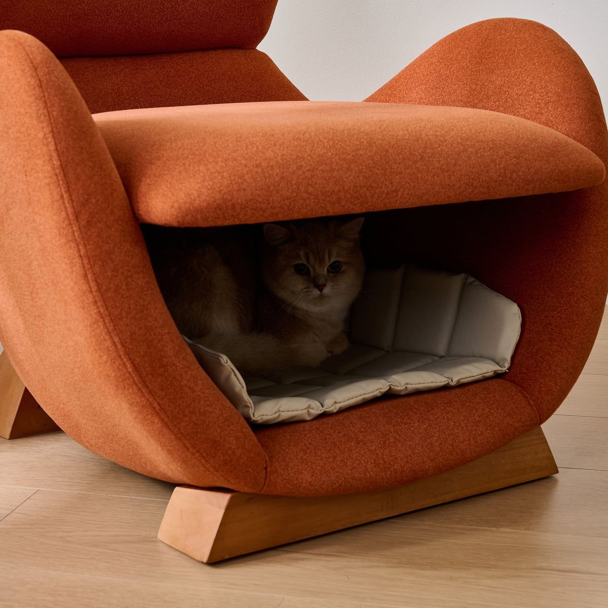 Designer Lounge Chair - Pet-Friendly, Anti-Scratch Fabric