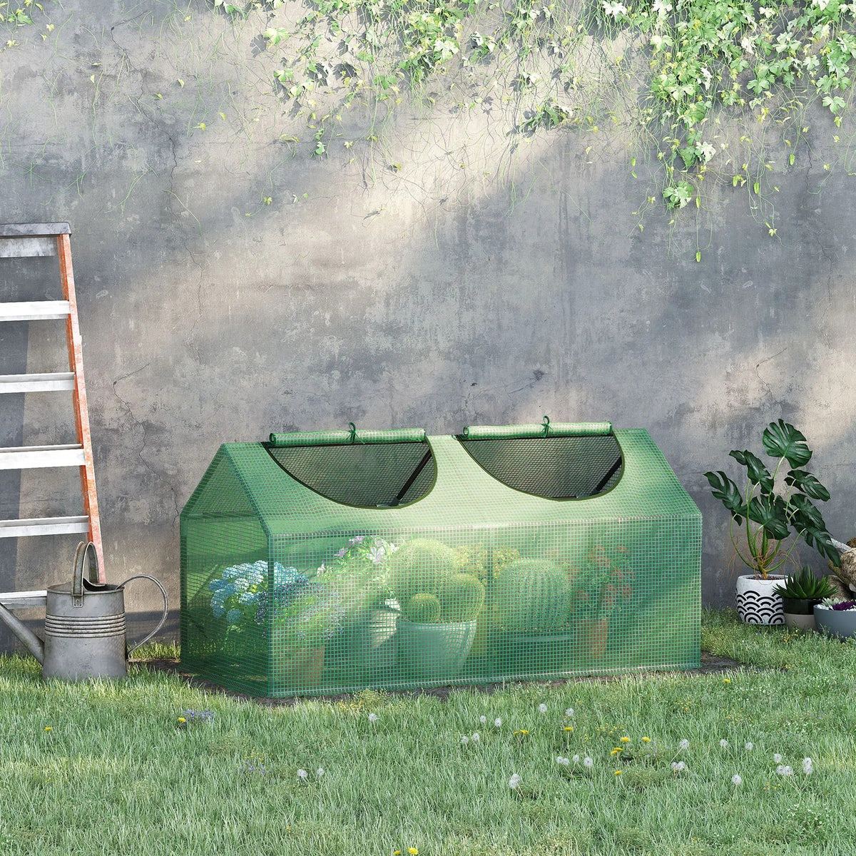 Polytunnel Greenhouse, Window, Tomatoes & Plants, Green