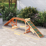 Dog Agility Bridge, Non-Slip Surface, Orange