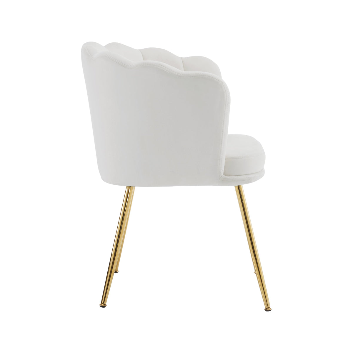 Chairs, Set of 6 Modern Velvet with Petal Backs, Gold Legs