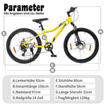 24-Inch Mountain Bike for Boys and Girls, 6-Speed Gears and Shock-Absorbing Fork, Steel Frame