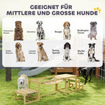Dog Agility Set, 4-piece training, Fir Wood