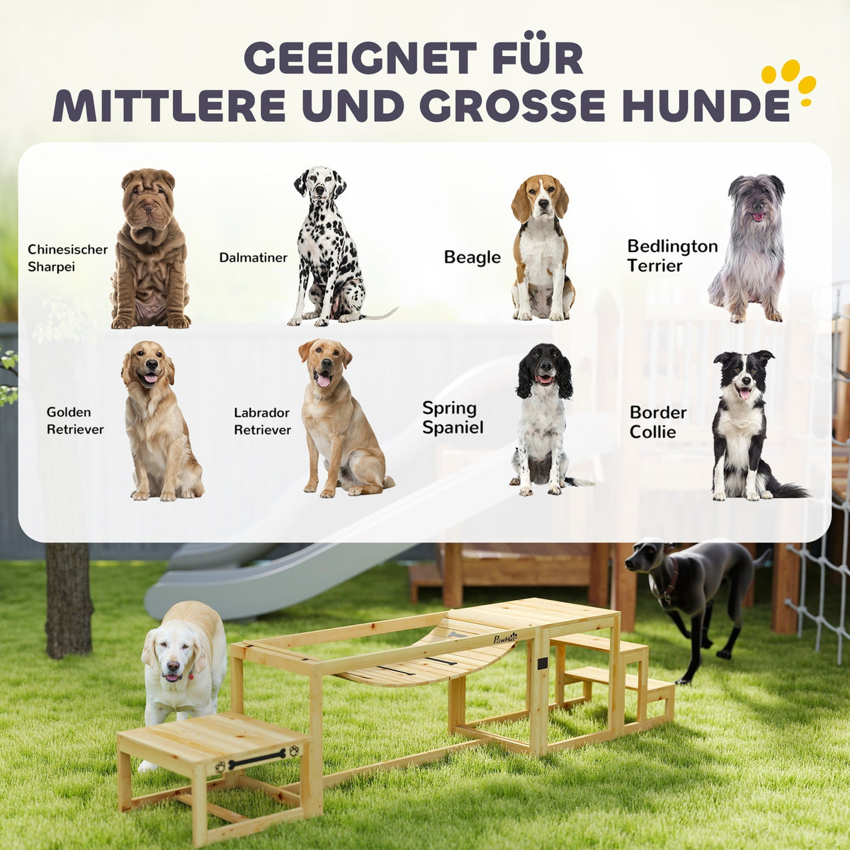 Dog Agility Set, 4-piece training, Fir Wood