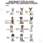 Dog Gate, Bidirectional Folding, Pinewood Metal Natural