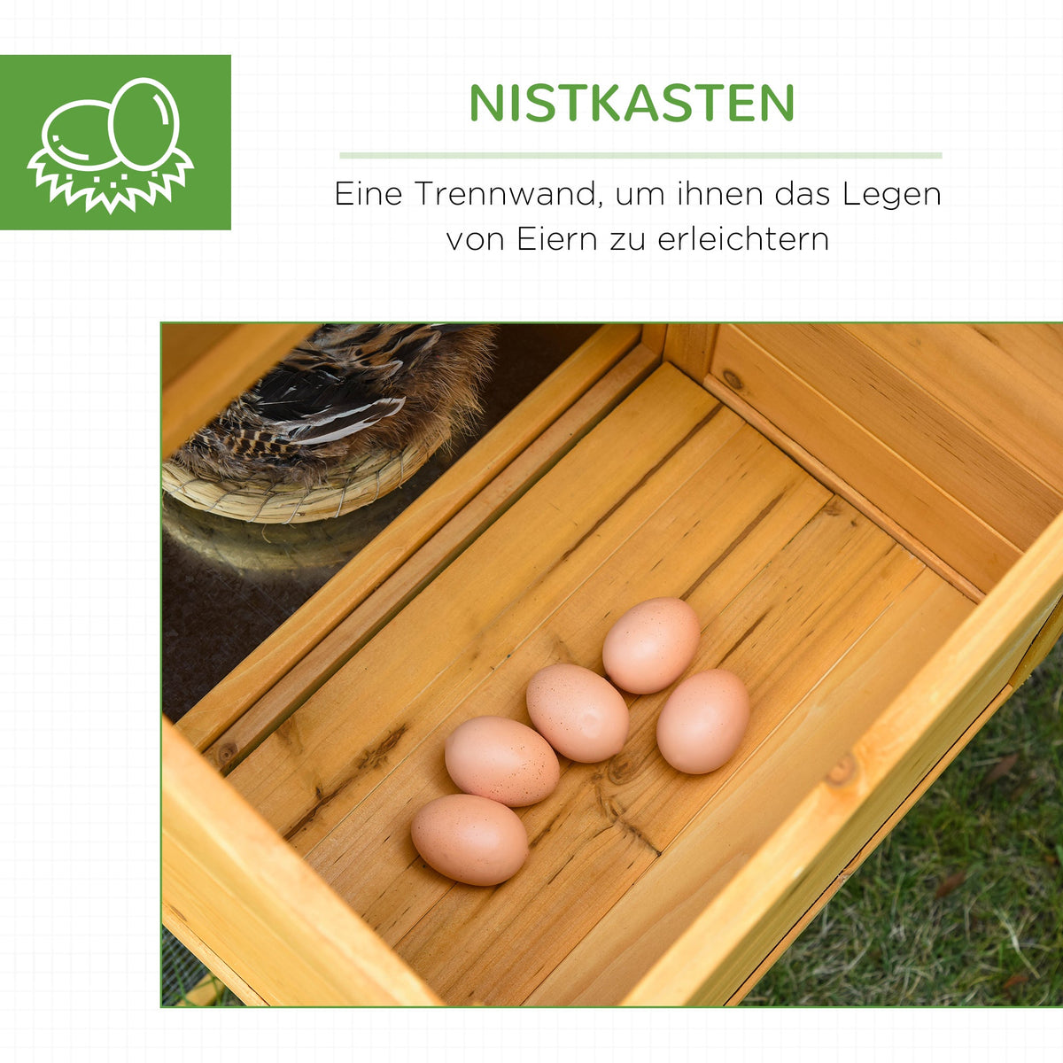 Bantam Chicken Coop with Run & Nesting Box, Fir Wood Yellow Green