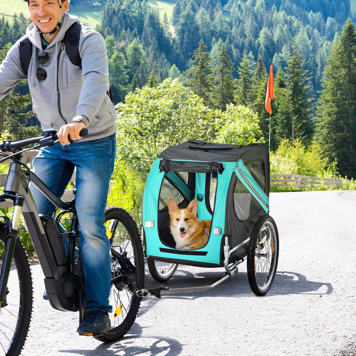 Dog Trailer, Bicycle Transporter, Oxford Fabric, Green