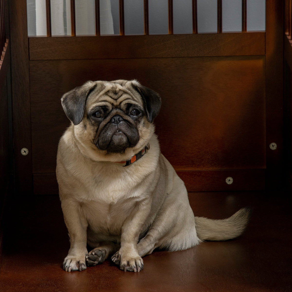Dog Cage Indoor Tabletop Lockable Door, Brown