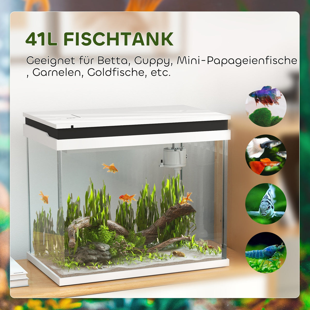 Aquarium, 41 Liter Glass with Filter System, LED Lights, White